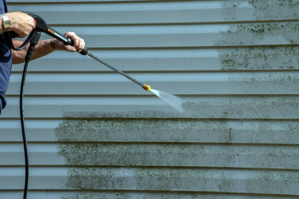 Best Driveway Pressure Washing  in Mebane, NC